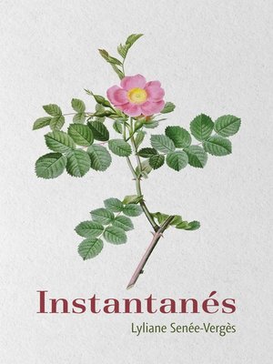 cover image of Instantanés